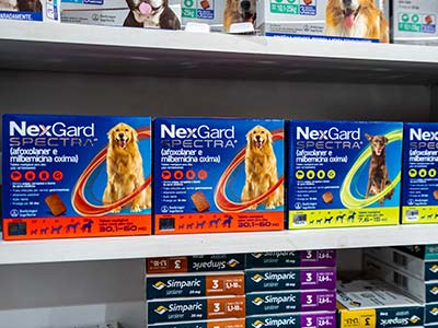 Nexgard Spectra Produtos para o controle de pulgas e carrapatos