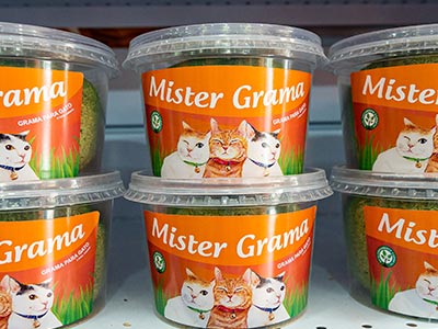 Graminha para gatos Graminha para gatos