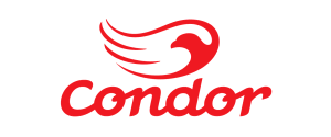 condor condor