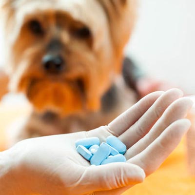 Medicamentos