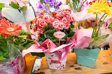 Flores para presentear Flores para presentear