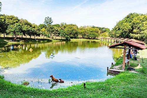 Espaço Externo — Lagos de pesca