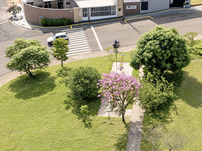 Área verde com árvores frutíferas