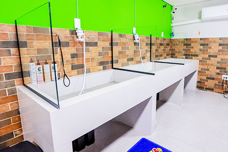 Banho de pet
