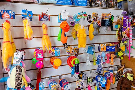 Acessórios para pets, brinquedos e coleiras acessórios para pets, brinquedos e coleiras