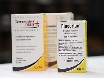 Medicamentos veterinários medicamentos veterinários
