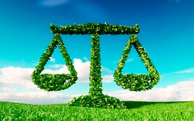 Direito Ambiental Direito Ambiental