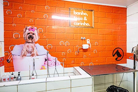 Banho para pet na Espaço Pet