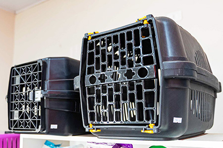 Caixas de transporte para pets