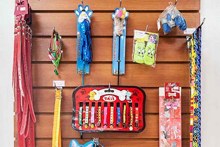 Coleiras para pets