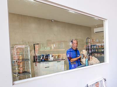 serviço de banho e tosa