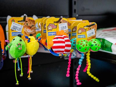 Mordedores e brinquedos para pets