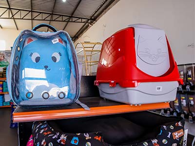 Casinha para cães