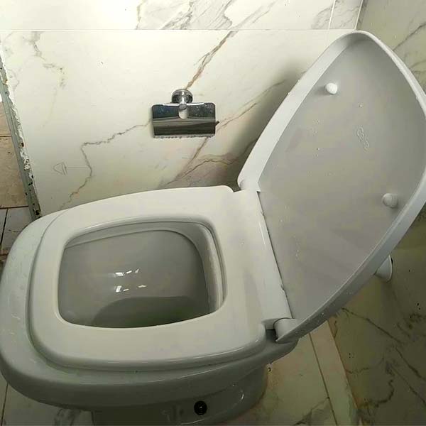 Desentupimento de vaso sanitário desentupir vaso sanitário