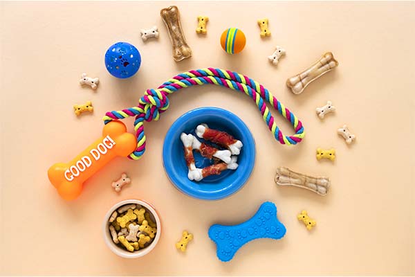 Acessórios para cães, gatos e outros pets Brinquedos, corda colorida, bolinhas, ossinhos e comedouro azul para cães sobre fundo bege