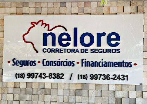 Nelore Corretora de Seguros foto 4