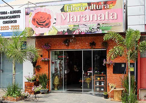 Floricultura Maranata
