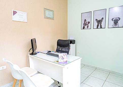 Mr Pet Clínica Veterinária e Pet Shop