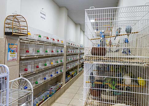 Avicultura Centro