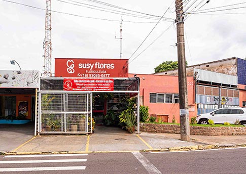 Susy Flores