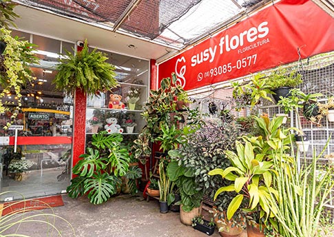 Susy Flores
