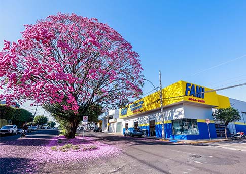Fami Materiais para Construção