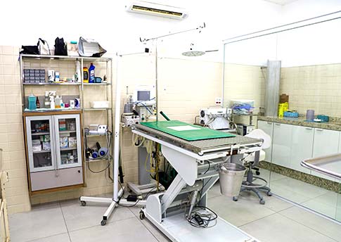 Clínica Veterinária Cerávolo
