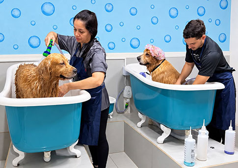 Clube das Patinhas - Pet Shop e Veterinária
