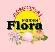 Pruden Flora Floricultura