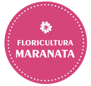 Floricultura Maranata