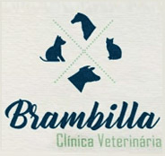 Clínica Veterinária Brambilla