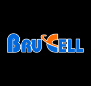 Brucell Assistência e Importados