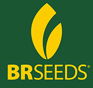 Br Seeds Sementes
