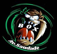 Box Academia Saudade